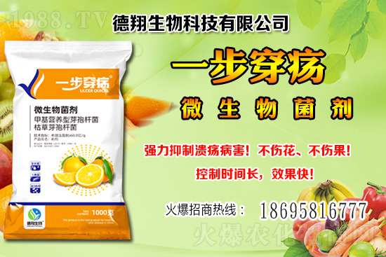 ��(gu��)�a(ch��n)�󶹃r(ji��)��(w��n)���е���2020-12-21�����������ֵ؅^(q��)��������