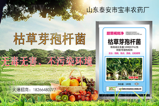 �ݲ�ѿ�ߗU���ܽ�Q������Щ���}���ݲ�ѿ�ߗU�����r(n��ng)�����ϵđ�����