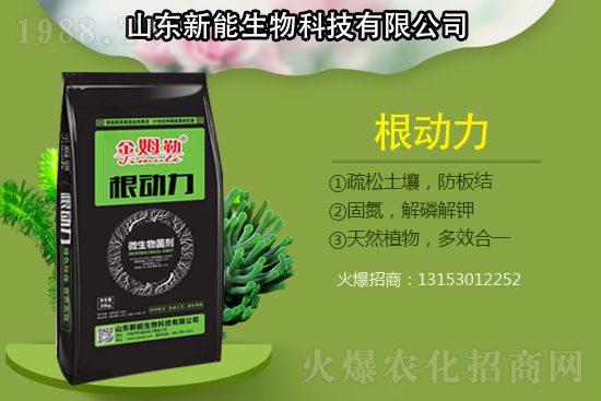 作物根部病害多原因在哪？解決病害生根措施怎么做？