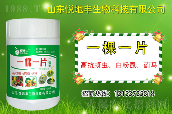 高抗蚜蟲、白粉虱、薊馬用什么打？一蟲不留？