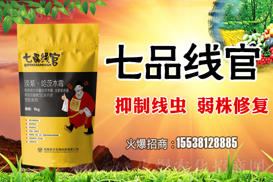     白菜根結(jié)線蟲危害極大！抓緊防治！白菜根結(jié)線蟲有效藥劑推薦！