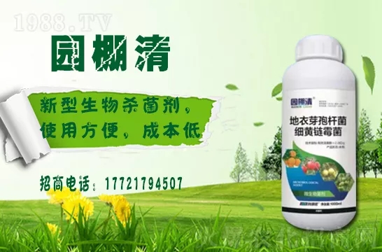 磷酸二氫鉀冬天用效果好嗎？磷酸二氫鉀如何提升植物抗寒能力的？