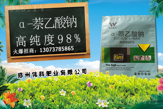 豆角種植時間是什么時候？豆角對環(huán)境條件有哪些要求？