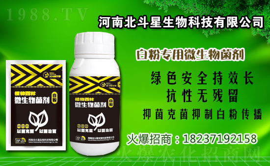 2020��12��29�Ր�˪�i�\�������r(ji��)��