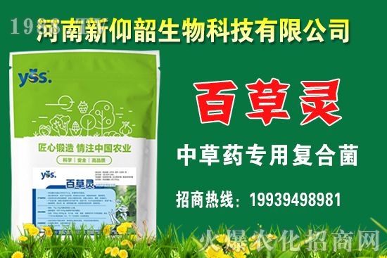 今年小麥價(jià)格還會(huì)漲嗎？2020年12月小麥價(jià)格行情如何？