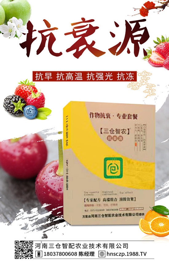 三月份適合種植什么蔬菜？三月份蔬菜種植注意事項(xiàng)！