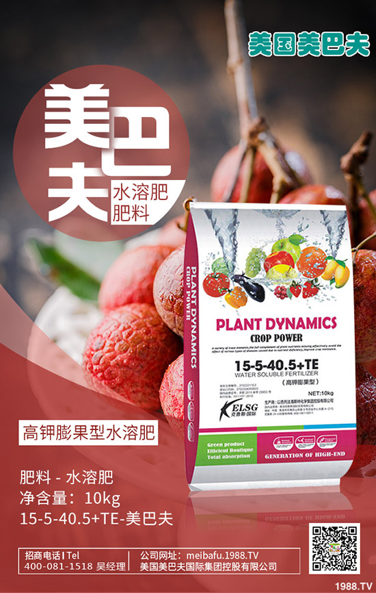 冬小麥進(jìn)入三月如何管理?小麥管理重點(diǎn)及注意事項(xiàng)!