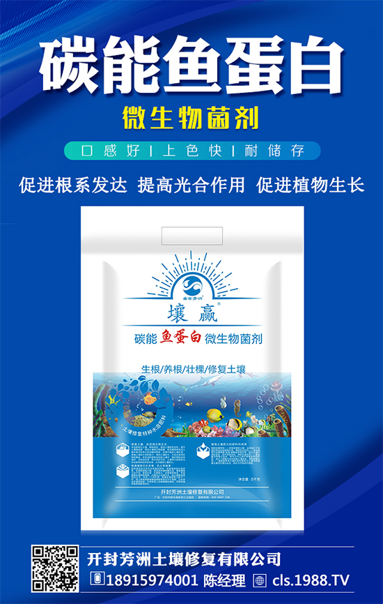 豆角種植時(shí)間，豆角生長(zhǎng)過(guò)程的管理要點(diǎn)！