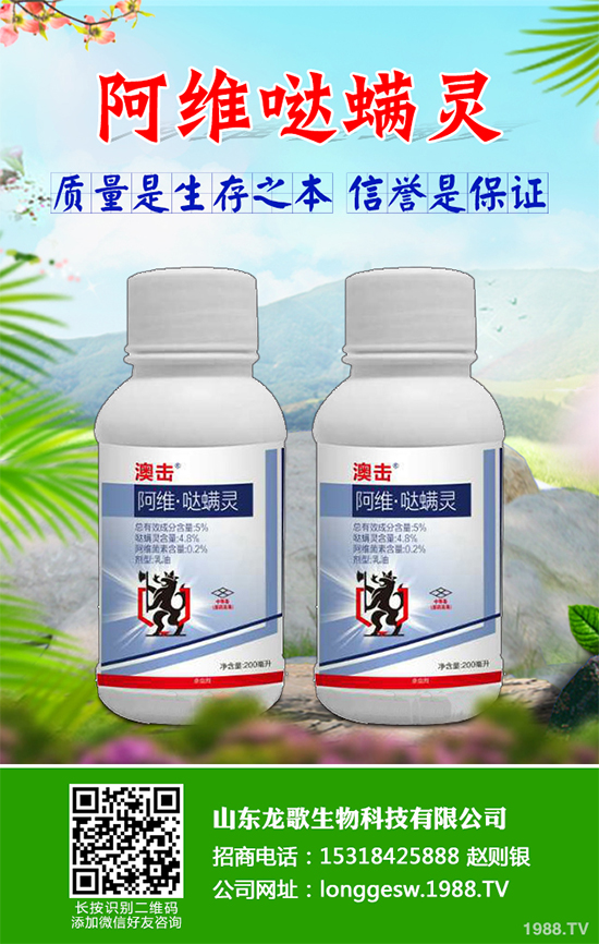 �x(ch��ng)����