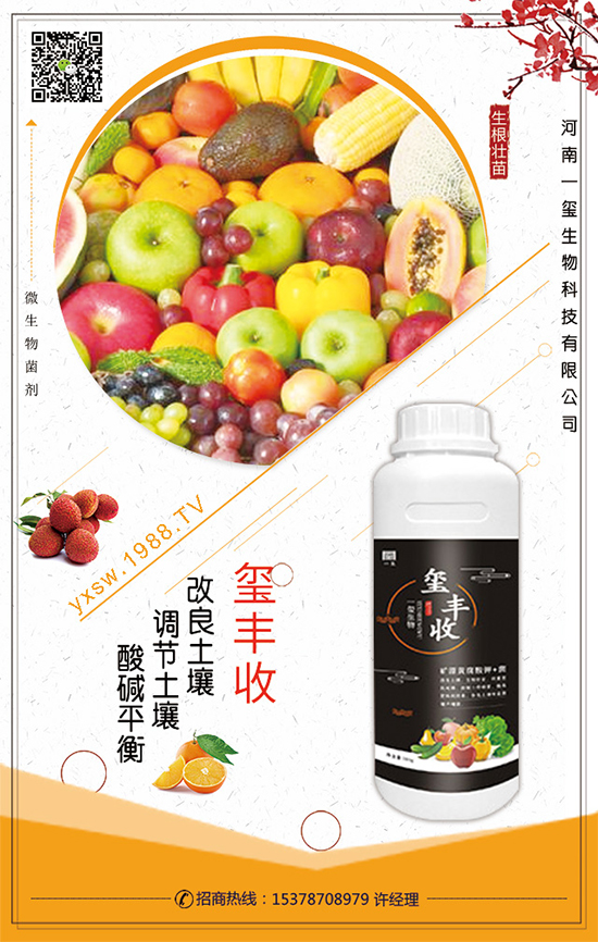 ���Ĳ�ʲô�r�g���ࣿ���Ĳ˵�����Ҫ�c(di��n)��