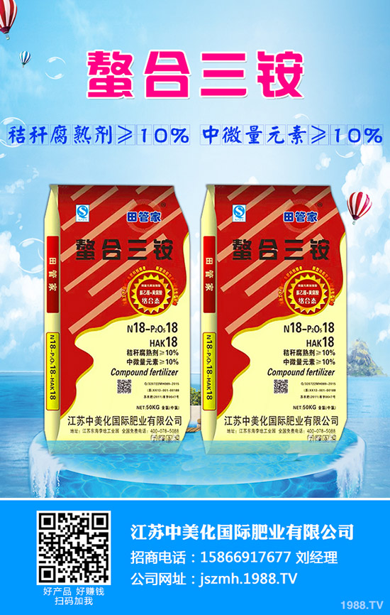 生菜水培的好處有哪些？生菜水培管理方法！