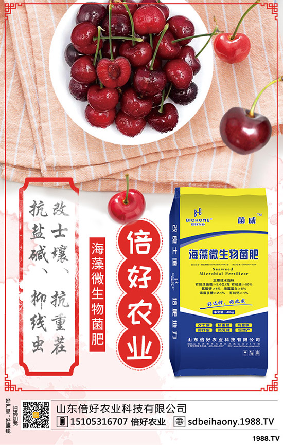 復(fù)合肥廠家價格上調(diào)!最新復(fù)合肥出廠報價一覽2020-3-17!