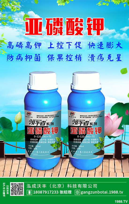 �ЙC(j��)�߲��c�o�����߲˵ą^(q��)�e���o�����߲���η��x��