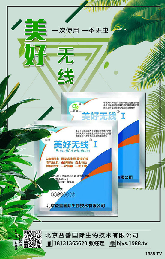 苦瓜的功效與作用有哪些,苦瓜的挑選方法!