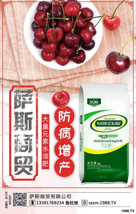 春玉米該如何種植？早春玉米高產(chǎn)種植技術(shù)要點