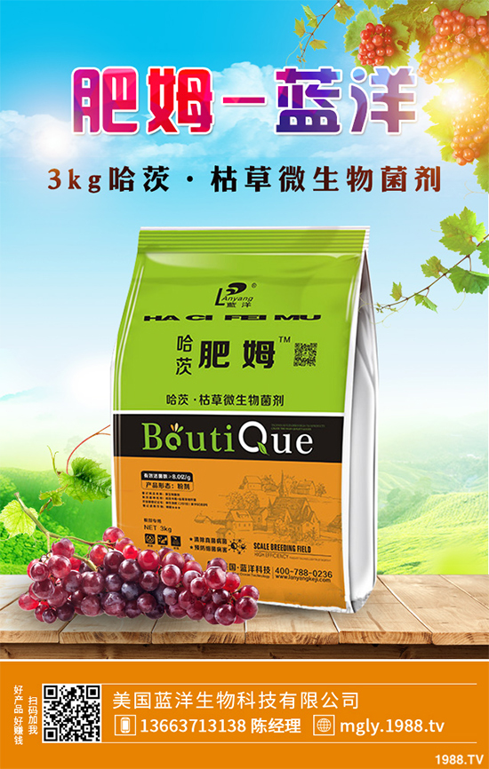 花椒樹該如何種植？三步幫你輕松種出高產(chǎn)花椒！