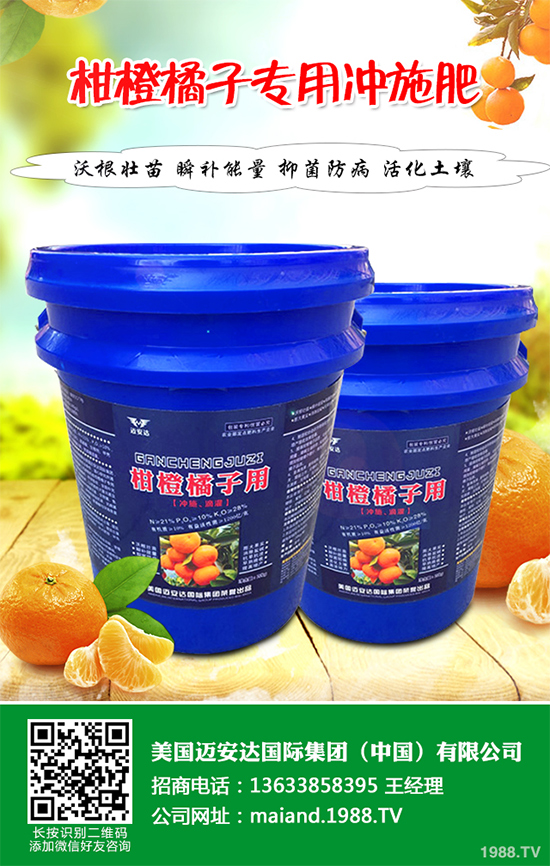 花椒樹該如何種植？三步幫你輕松種出高產(chǎn)花椒！