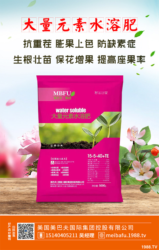 春季花椒樹常見的病蟲害有哪些？該如何防治？花椒病害的發(fā)生與防治