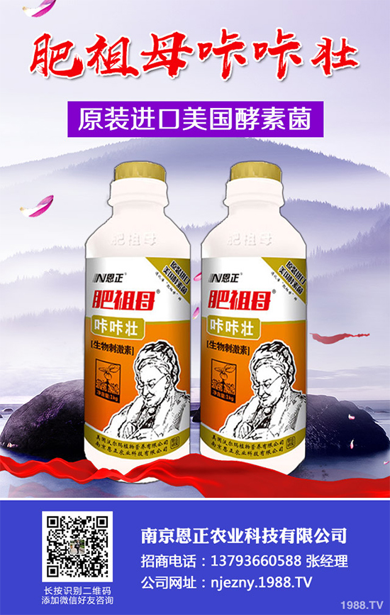 春季花椒樹常見的病蟲害有哪些？該如何防治？花椒病害的發(fā)生與防治