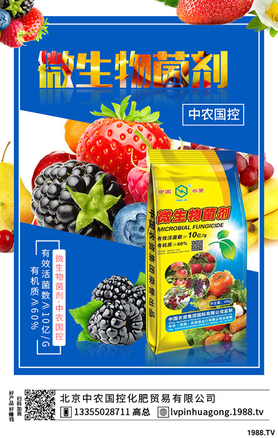 �����ʲô�I(y��ng)�B(y��ng)�r(ji��)ֵ����ϵĹ�Ч��ʳ��ע�����(xi��ng)��