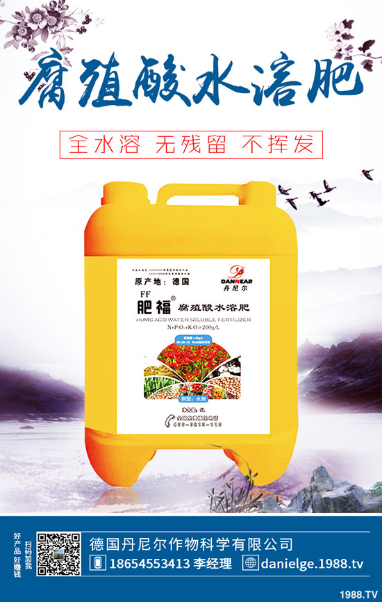 生菜怎么快速催芽？生菜催芽后管理方法！