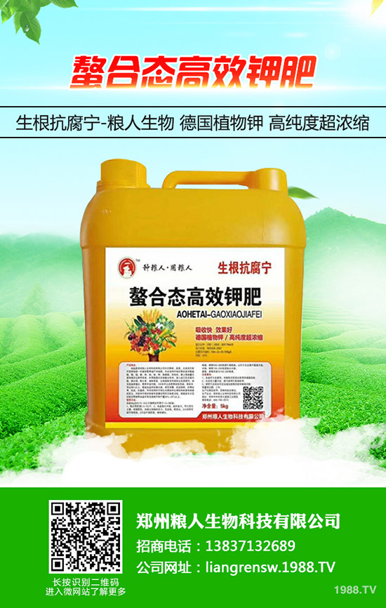 蔥得了灰霉病怎么辦？大蔥灰霉病的防治方法！