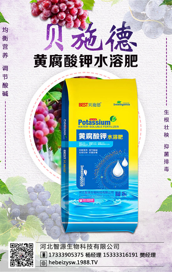 芹菜的營養(yǎng)價值有哪些？常吃芹菜有什么好處？