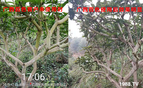 �V����ɫ�͑�δʹ�Õr(sh��)��ʹ�ú�Ч�����@��