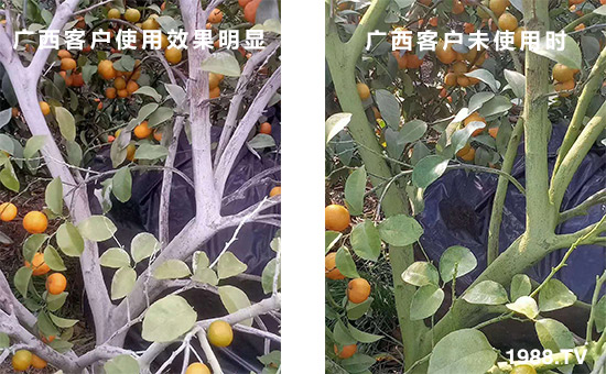 �V���͑�ʹ��Ч�����@��δʹ�Õr(sh��)��