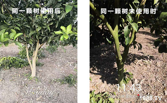 ͬһ�w��ʹ�ú��ͬһ�w��δʹ�Õr(sh��)��