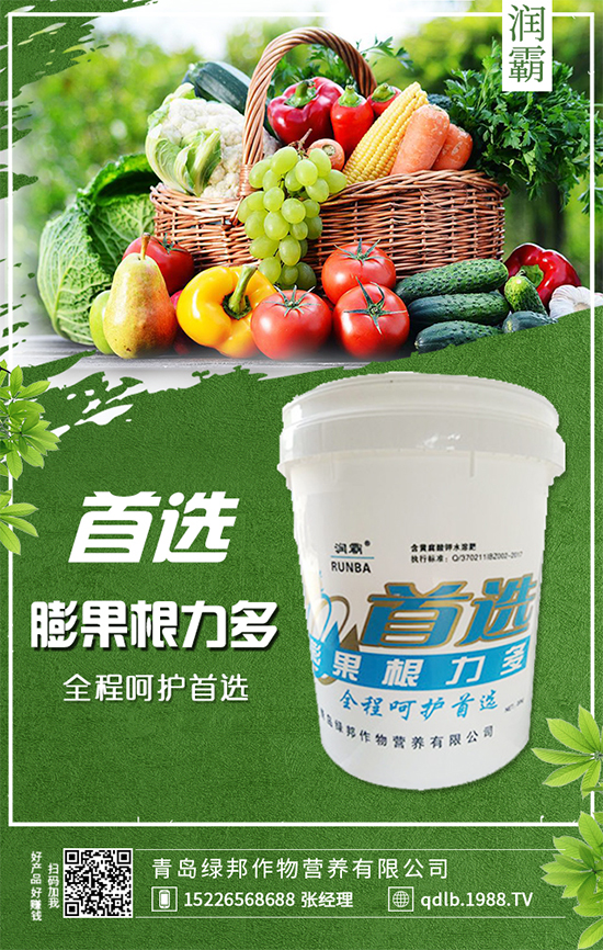 �f(w��n)�����U�����NҪ�c(di��n)���҃�(n��i)�f(w��n)����Nֲע�����(xi��ng)��