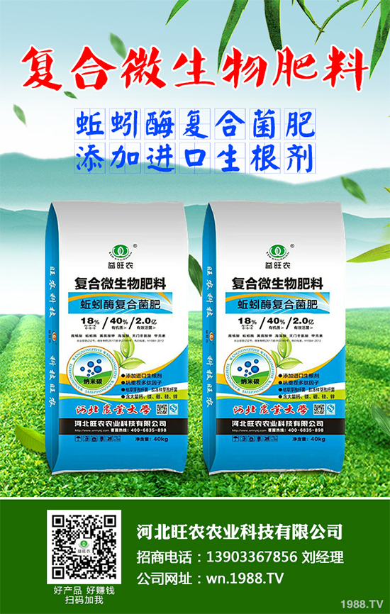 大棚香椿怎么栽培？大棚香椿高產栽培技術