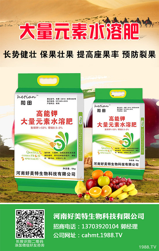 細(xì)香蔥如何種植才能高產(chǎn)?需要注意什么?這五個(gè)小技巧分享一下!