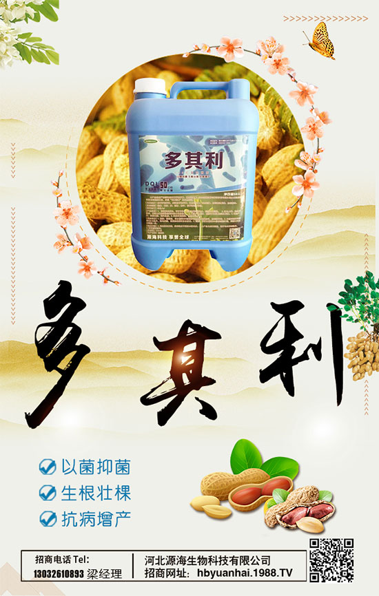 洋蔥什么時間種植好？洋蔥種植想高產(chǎn)怎么種植？