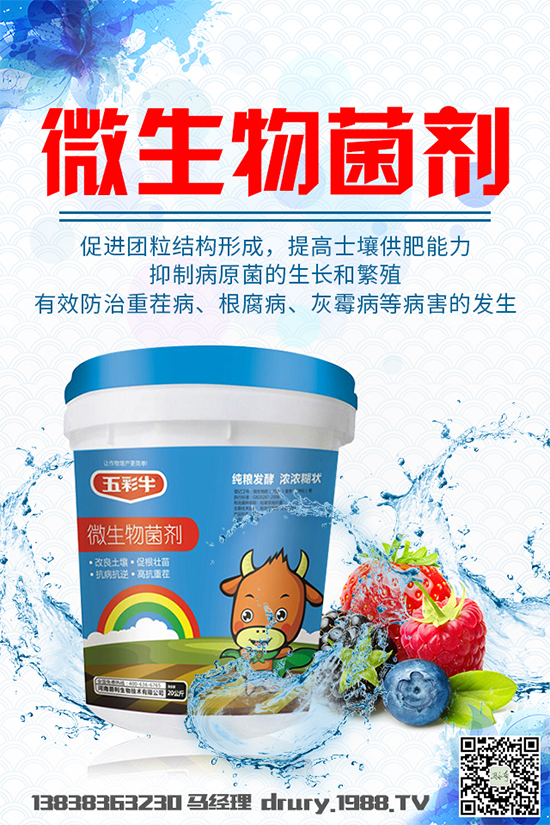 大棚韭菜該怎么種植？韭菜大棚管理技術(shù)要點(diǎn)