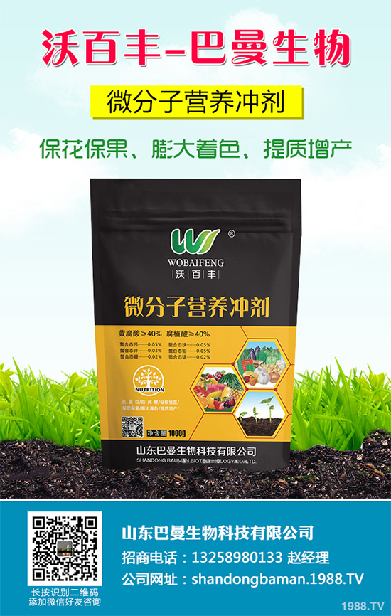 ���������N�ĳ�Ҋ�`�^(q��)�������r�����^�e������Q������