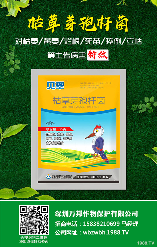 С����ù��ˎ������Ч����������׃����