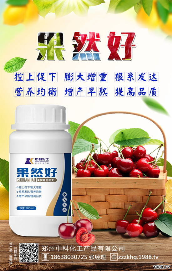 油麥菜有哪些營養(yǎng)價(jià)值？常吃油麥菜那些神奇效果？一起看看吧！