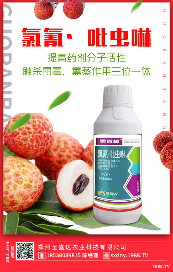 ��������ӛ���������x�y��߀�������������T��Ҫ���(qu��n)��������