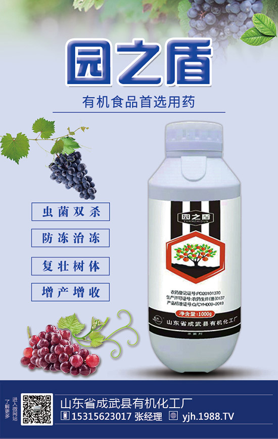 �J�S���ʩ�����J�S��ʲô���Ϻã��J�S������c(di��n)��ע�����(xi��ng)��