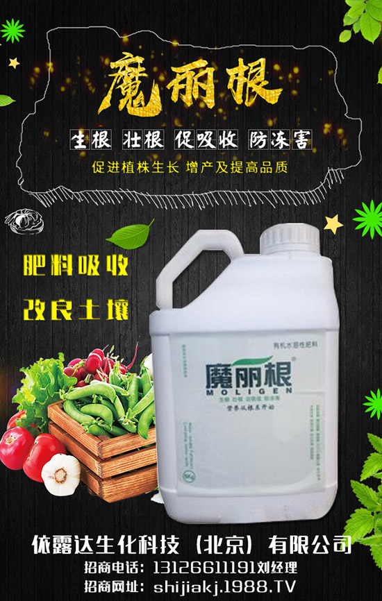 香蔥對環(huán)境的要求有哪些，香蔥的種植季節(jié)及日常管理！