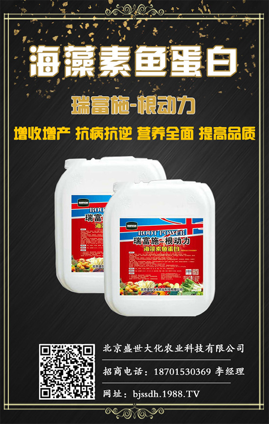 土茯苓是什么植物？土茯苓的功效與作用有哪些？