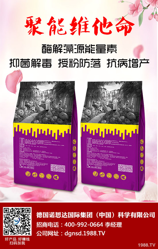 �ܱ��Ϲ���ô�Nֲ���ܱ��Ϲϵ����༼�g(sh��)Ҫ�c(di��n)�c������