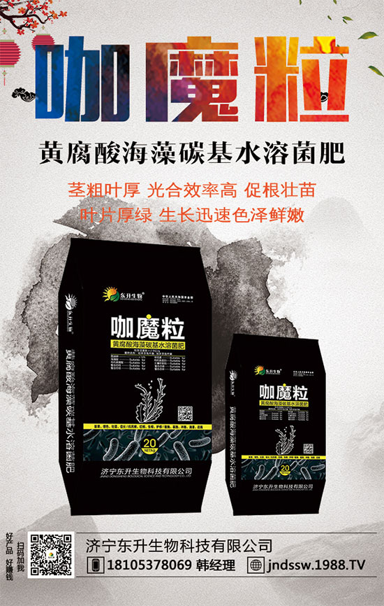 С����ʲô�g�Nֲ�r(sh��)��С���۷Nֲ����Ҫ�c(di��n)��