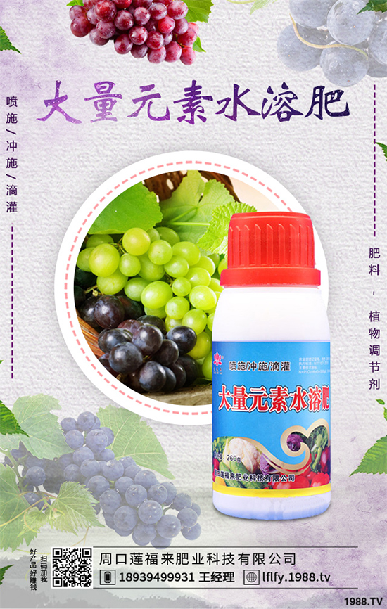 ���v�̶����Xһ��Nֲǰ���������ˎ�ĵ�Ч�����