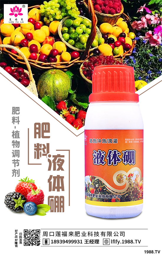 ���v������Щ��;��ԓ������������v�������������g(sh��)