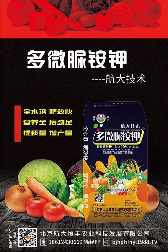 三七種子怎么種植？三七功效與作用有哪些？