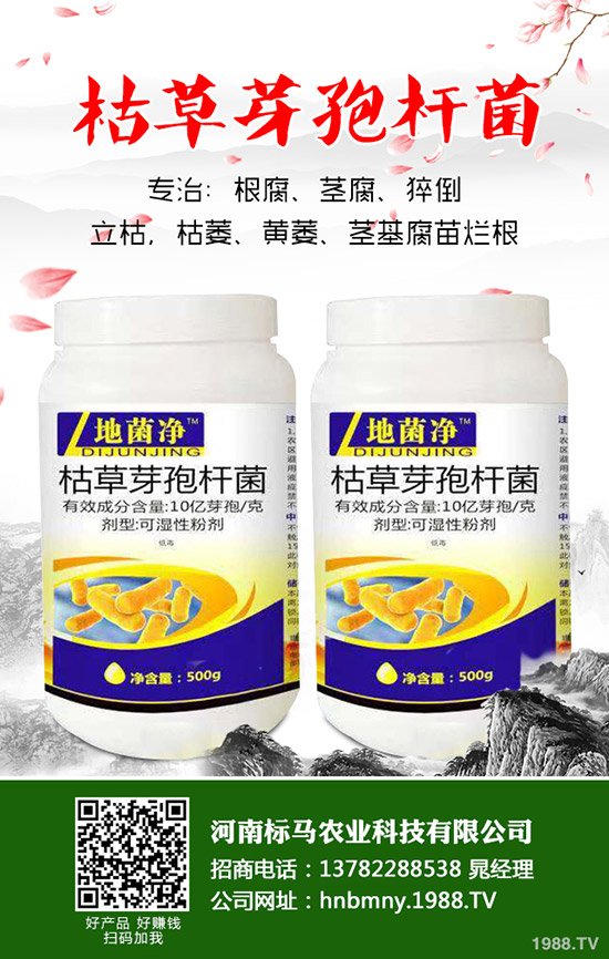 苦瓜怎么施肥，苦瓜施肥要點(diǎn)有哪些？