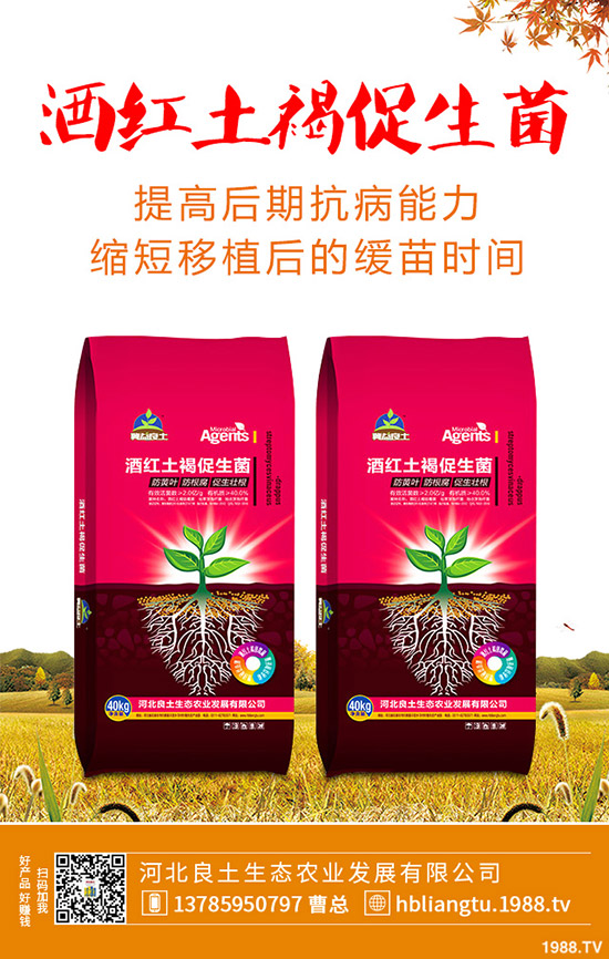 �{��ʲô�r(sh��)��Nֲ�^�����{�˵ķNֲ���g(sh��)�c���g����