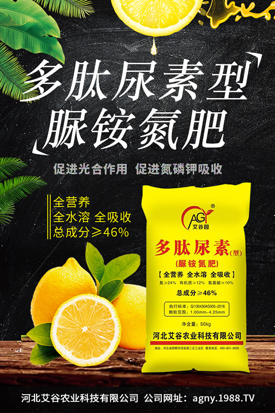 �ļ����NֲҪ�c(di��n)���ļ������缼�g(sh��)�����ڹ���